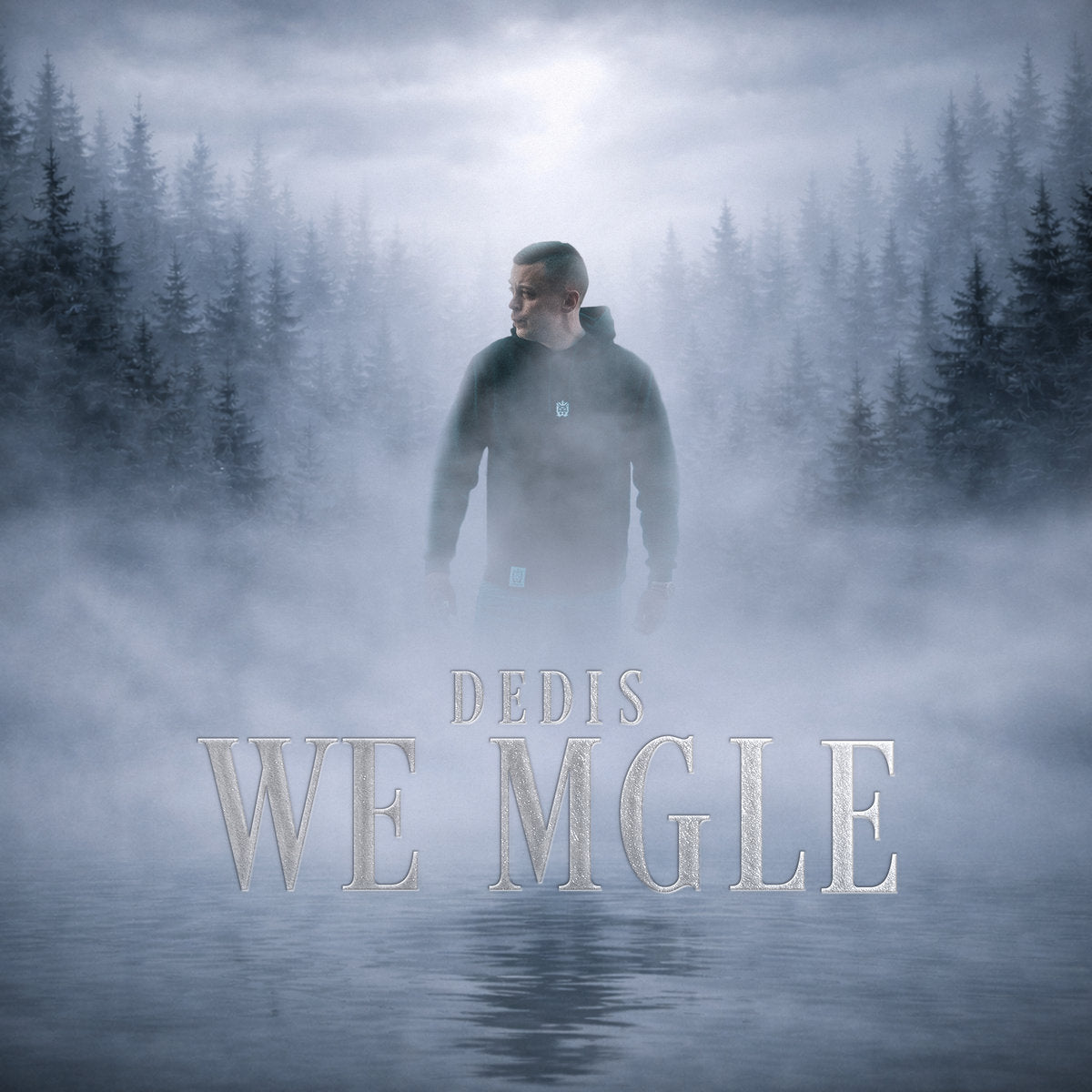 Dedis - We mgle (CD)